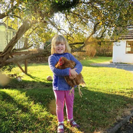 Heatherhill Farm Cottage In Letterfrack Beside Connemara National Park 외부 사진