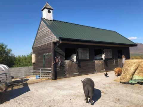 Heatherhill Farm Cottage In Letterfrack Beside Connemara National Park 외부 사진