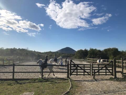 Heatherhill Farm Cottage In Letterfrack Beside Connemara National Park 외부 사진