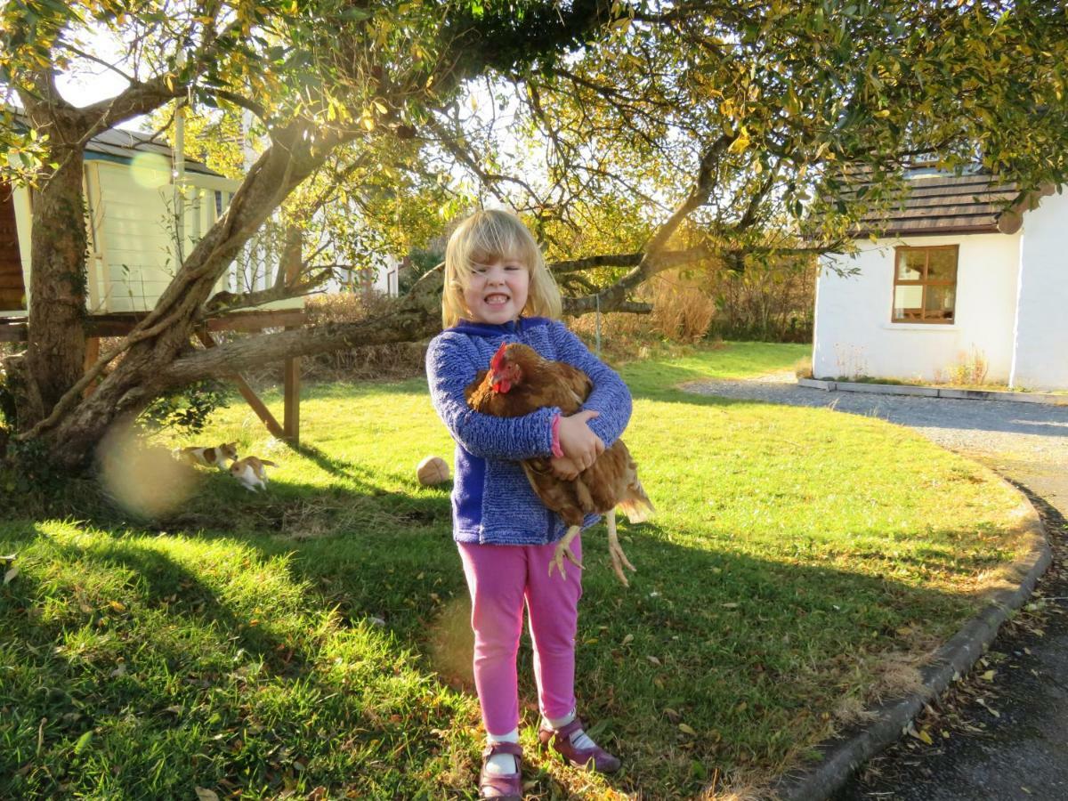 Heatherhill Farm Cottage In Letterfrack Beside Connemara National Park 외부 사진